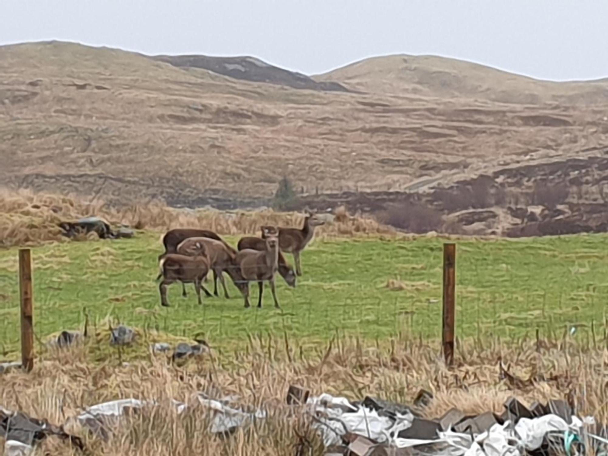 The Loch Erisort Hotel Balallan Bagian luar foto